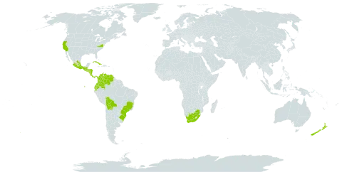 Cucurbita ficifolia world distribution map, present in Bolivia (Plurinational State of), Brazil, Colombia, Costa Rica, Cuba, Ecuador, Guatemala, Honduras, Mexico, Nicaragua, New Zealand, Panama, El Salvador, United States of America, Venezuela (Bolivarian Republic of), and South Africa