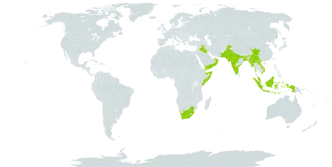 Cullen corylifolium world distribution map, present in Bangladesh, China, Djibouti, Indonesia, India, Iraq, Kenya, Lao People's Democratic Republic, Sri Lanka, Myanmar, Mauritius, Malaysia, Oman, Pakistan, Réunion, Singapore, Somalia, United States of America, Viet Nam, Yemen, and South Africa