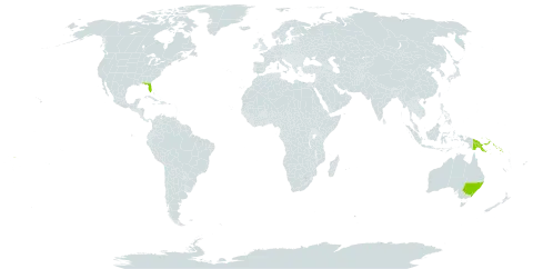 Cupaniopsis world distribution map, present in Australia, Kiribati, Papua New Guinea, Solomon Islands, United States of America, and Samoa