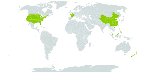 Cuscuta world distribution map, present in American Samoa, China, France, Malaysia, New Zealand, Panama, Philippines, and United States of America