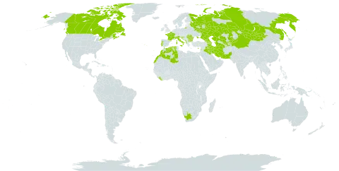 Cuscuta monogyna subsp. monogyna world distribution map, present in Afghanistan, Albania, Armenia, Azerbaijan, Bulgaria, Canada, China, Cyprus, Algeria, France, Georgia, Croatia, Iran (Islamic Republic of), Iraq, Israel, Italy, Kazakhstan, Kyrgyzstan, Lebanon, Liberia, Morocco, North Macedonia, Malta, Montenegro, Mongolia, Pakistan, Portugal, Romania, Russian Federation, Serbia, Tajikistan, Turkmenistan, Ukraine, Uzbekistan, and South Africa