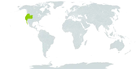 Cuscuta occidentalis world distribution map, present in Mexico and United States of America