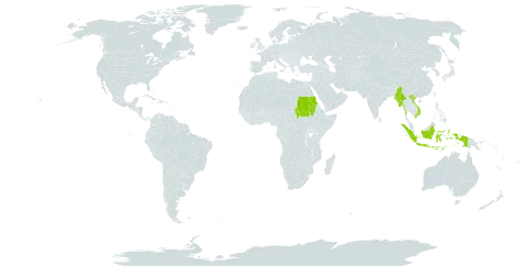 Cyanotis cucullata world distribution map, present in Indonesia, Myanmar, Sudan, and Viet Nam