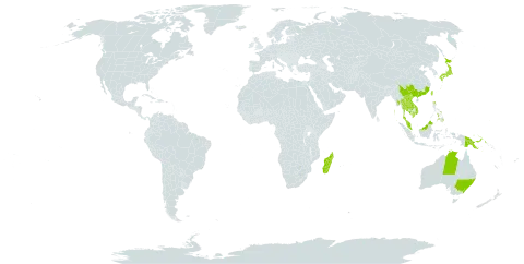 Cyanthillium patulum world distribution map, present in Australia, China, Micronesia (Federated States of), India, Iceland, Japan, Cambodia, Lao People's Democratic Republic, Madagascar, Myanmar, Malaysia, Philippines, Papua New Guinea, Singapore, Thailand, Taiwan, Province of China, and Viet Nam