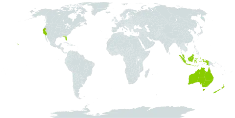 Cyathea world distribution map, present in Australia, Indonesia, Malaysia, New Zealand, and United States of America