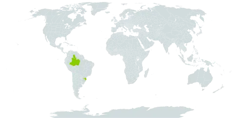 Cyathea thysanolepis world distribution map, present in Brazil and Venezuela (Bolivarian Republic of)