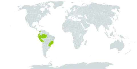 Cyathea uleana world distribution map, present in Bolivia (Plurinational State of), Brazil, Colombia, Ecuador, and Peru