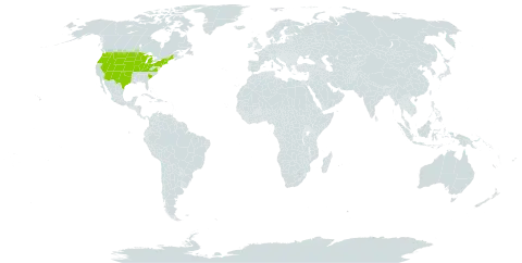 Cyclachaena world distribution map, present in United States of America