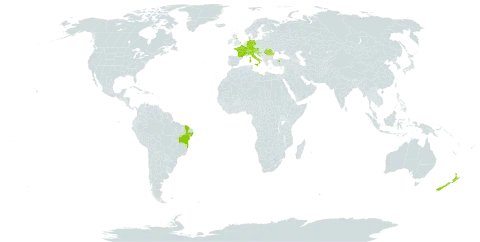 Cyclodium heterodon var. abbreviatum world distribution map, present in Austria, Brazil, Switzerland, Germany, France, United Kingdom of Great Britain and Northern Ireland, Croatia, Italy, New Zealand, Romania, Serbia, Slovenia, and Turkey