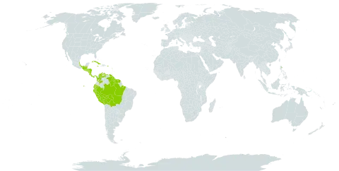 Cyclopeltis semicordata world distribution map, present in Belize, Bolivia (Plurinational State of), Brazil, Barbados, Colombia, Costa Rica, Cuba, Dominica, Ecuador, Guadeloupe, Grenada, Guatemala, French Guiana, Guyana, Honduras, Jamaica, Mexico, Nicaragua, Panama, Peru, Puerto Rico, El Salvador, Suriname, Trinidad and Tobago, and Venezuela (Bolivarian Republic of)