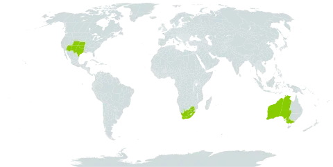 Cylindropuntia imbricata world distribution map, present in Australia, United States of America, and South Africa