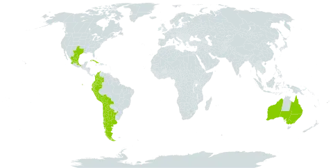 Cylindropuntia tunicata world distribution map, present in Argentina, Australia, Bolivia (Plurinational State of), Chile, Colombia, Cuba, Ecuador, Mexico, Peru, and United States of America