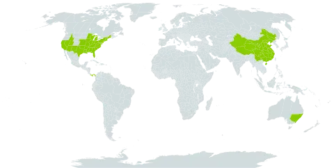 Cynanchum world distribution map, present in Australia, China, Panama, and United States of America