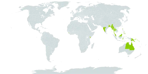 Cynometra iripa world distribution map, present in Australia, Bangladesh, Barbados, Micronesia (Federated States of), Indonesia, India, Kenya, Sri Lanka, Myanmar, Northern Mariana Islands, Malaysia, Philippines, Papua New Guinea, Singapore, Solomon Islands, and Thailand