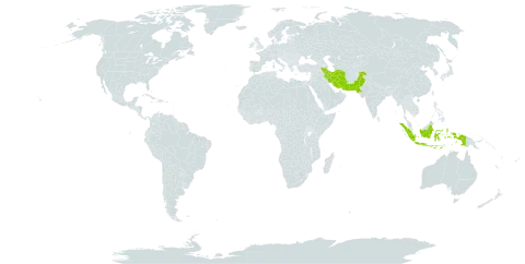 Cyperus atkinsonii world distribution map, present in Indonesia, Iran (Islamic Republic of), and Pakistan