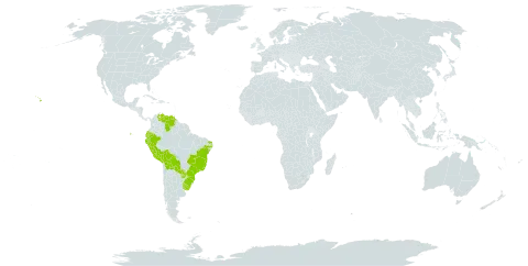 Cyperus meyenianus world distribution map, present in Bolivia (Plurinational State of), Brazil, Ecuador, Peru, Paraguay, Uruguay, United States of America, and Venezuela (Bolivarian Republic of)