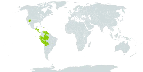 Cyperus mutisii world distribution map, present in Belize, Bolivia (Plurinational State of), Brazil, Costa Rica, Dominica, Ecuador, Guatemala, Guyana, Honduras, Haiti, Jamaica, Nicaragua, Panama, Peru, Puerto Rico, United States of America, and Venezuela (Bolivarian Republic of)