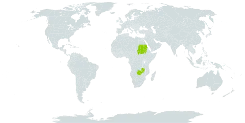 Cyperus remotus world distribution map, present in Sudan and Zambia