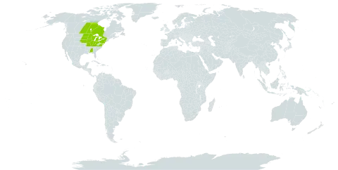 Cypripedium candidum world distribution map, present in Åland Islands, Canada, Micronesia (Federated States of), and United States of America