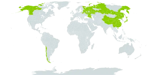 Cypripedium guttatum world distribution map, present in Belarus, Canada, Chile, China, Japan, Montenegro, Korea (Democratic People's Republic of), Russian Federation, and United States of America