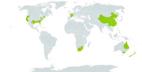 Cyrtomium falcatum world distribution map, present in Australia, China, France, New Zealand, United States of America, and South Africa