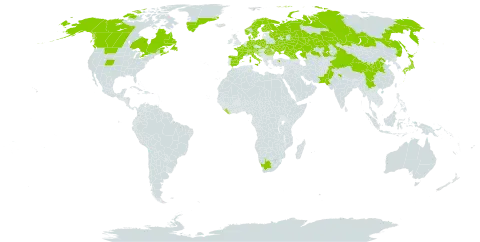 Cystopteris montana world distribution map, present in Austria, Belgium, Bosnia and Herzegovina, Canada, Switzerland, China, Germany, Denmark, Spain, Finland, France, United Kingdom of Great Britain and Northern Ireland, Georgia, Greenland, Croatia, India, Italy, Japan, Kazakhstan, Liberia, Liechtenstein, Norway, Nepal, Pakistan, Poland, Romania, Russian Federation, Slovakia, Slovenia, Sweden, Turkey, Ukraine, United States of America, and South Africa