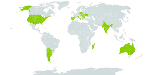 Cytisus multiflorus world distribution map, present in Albania, Argentina, Australia, Bulgaria, Spain, France, Greece, Hungary, India, Italy, Moldova (Republic of), Madagascar, New Zealand, Poland, Portugal, Romania, Slovakia, Ukraine, and United States of America