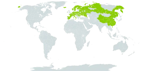 Dactylorhiza fuchsii world distribution map, present in Austria, Belarus, Switzerland, China, Czech Republic, Germany, Spain, Finland, France, Hungary, Ireland, Iceland, Italy, Montenegro, Netherlands, Norway, Poland, Romania, Russian Federation, Sweden, and Ukraine