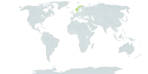 Dactylorhiza purpurella world distribution map, present in Denmark, Ireland, and Norway