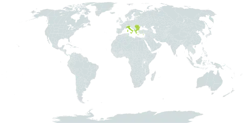 Dactylorhiza romana subsp. romana world distribution map, present in Albania, Bulgaria, Cyprus, Greece, Italy, Romania, and Turks and Caicos Islands