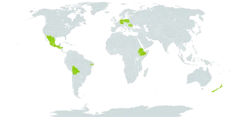 Dahlia coccinea world distribution map, present in Belize, Bolivia (Plurinational State of), Brazil, Germany, Ethiopia, United Kingdom of Great Britain and Northern Ireland, Guatemala, Honduras, Mexico, New Zealand, Poland, Portugal, Romania, El Salvador, and Serbia