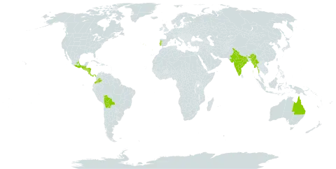 Dahlia imperialis world distribution map, present in Australia, Bolivia (Plurinational State of), Colombia, Costa Rica, Guatemala, Honduras, India, Mexico, Myanmar, Nicaragua, Nepal, Panama, Portugal, and El Salvador