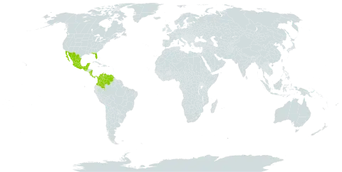 Dalbergia brownei world distribution map, present in Belize, Colombia, Costa Rica, Guatemala, Mexico, Nicaragua, Panama, United States of America, and Venezuela (Bolivarian Republic of)