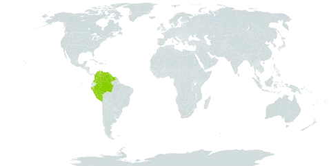 Dalbergia guttembergii world distribution map, present in Brazil, Colombia, Guyana, Peru, Suriname, and Venezuela (Bolivarian Republic of)