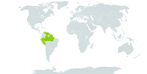 Dalbergia subcymosa world distribution map, present in American Samoa, Brazil, French Guiana, Guyana, Peru, Suriname, and Venezuela (Bolivarian Republic of)