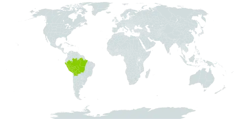 Dalechampia cujabensis world distribution map, present in Bolivia (Plurinational State of), Brazil, and Peru