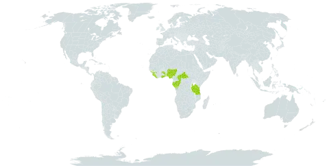 Dalechampia ipomoeifolia world distribution map, present in Central African Republic, Congo, Gabon, Ghana, Guinea, Liberia, Nigeria, Sierra Leone, Togo, Tanzania, United Republic of, and Uganda