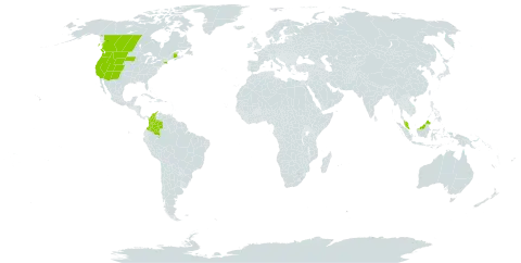 Danthonia californica world distribution map, present in Canada, Colombia, Malaysia, and United States of America