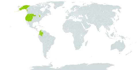 Danthonia intermedia world distribution map, present in Colombia, Micronesia (Federated States of), and United States of America