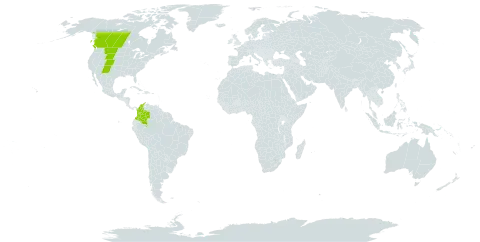 Danthonia parryi world distribution map, present in Canada, Colombia, and United States of America