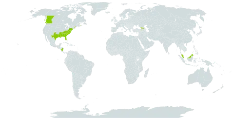 Danthonia sericea world distribution map, present in Åland Islands, Canada, Georgia, Malaysia, Nicaragua, and United States of America