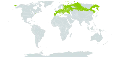 Daphne cneorum world distribution map, present in Albania, Austria, Bulgaria, Belarus, Switzerland, Czech Republic, Germany, Spain, France, Croatia, Hungary, Italy, North Macedonia, Poland, Romania, Russian Federation, Serbia, Slovakia, Slovenia, Ukraine, and United States of America