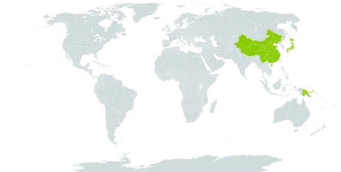 Daphniphyllum world distribution map, present in China, Japan, and Papua New Guinea