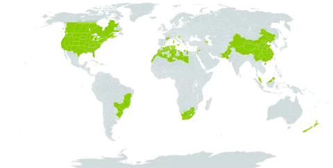 Daucus carota world distribution map, present in Albania, Azerbaijan, Brazil, Canada, China, Algeria, France, United Kingdom of Great Britain and Northern Ireland, Croatia, Italy, Jordan, Lebanon, Libya, Morocco, Malaysia, New Zealand, Pakistan, Portugal, Tunisia, United States of America, and South Africa