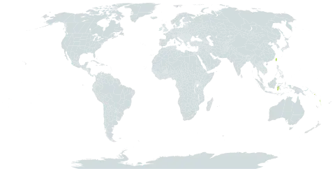 Davallia cumingii world distribution map, present in Indonesia, Solomon Islands, Taiwan, Province of China, and Vanuatu