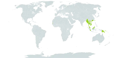 Deeringia polysperma world distribution map, present in China, Indonesia, Iceland, Cambodia, Myanmar, Malaysia, Philippines, Papua New Guinea, Seychelles, Thailand, Taiwan, Province of China, and Viet Nam