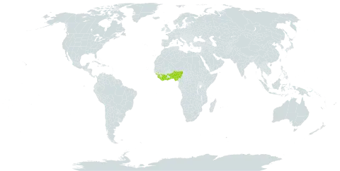 Deinbollia pinnata world distribution map, present in Benin, Côte d'Ivoire, Ghana, Guinea, Liberia, Nigeria, Sierra Leone, and Togo