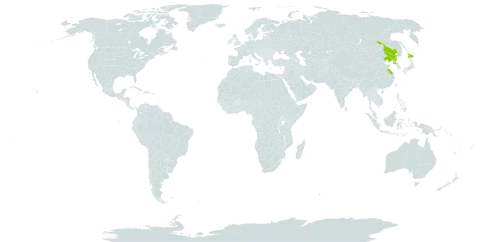 Deinostema violacea world distribution map, present in China, Japan, and Korea (Democratic People's Republic of)