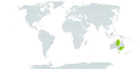 Delarbrea paradoxa world distribution map, present in Australia, Moldova (Republic of), Norfolk Island, Solomon Islands, and Vanuatu