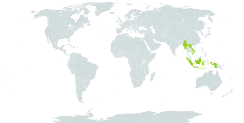 Dendrobium macraei world distribution map, present in Indonesia, Lao People's Democratic Republic, Myanmar, and Viet Nam